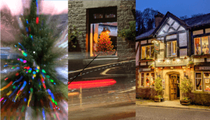 Christmas lights photowalk