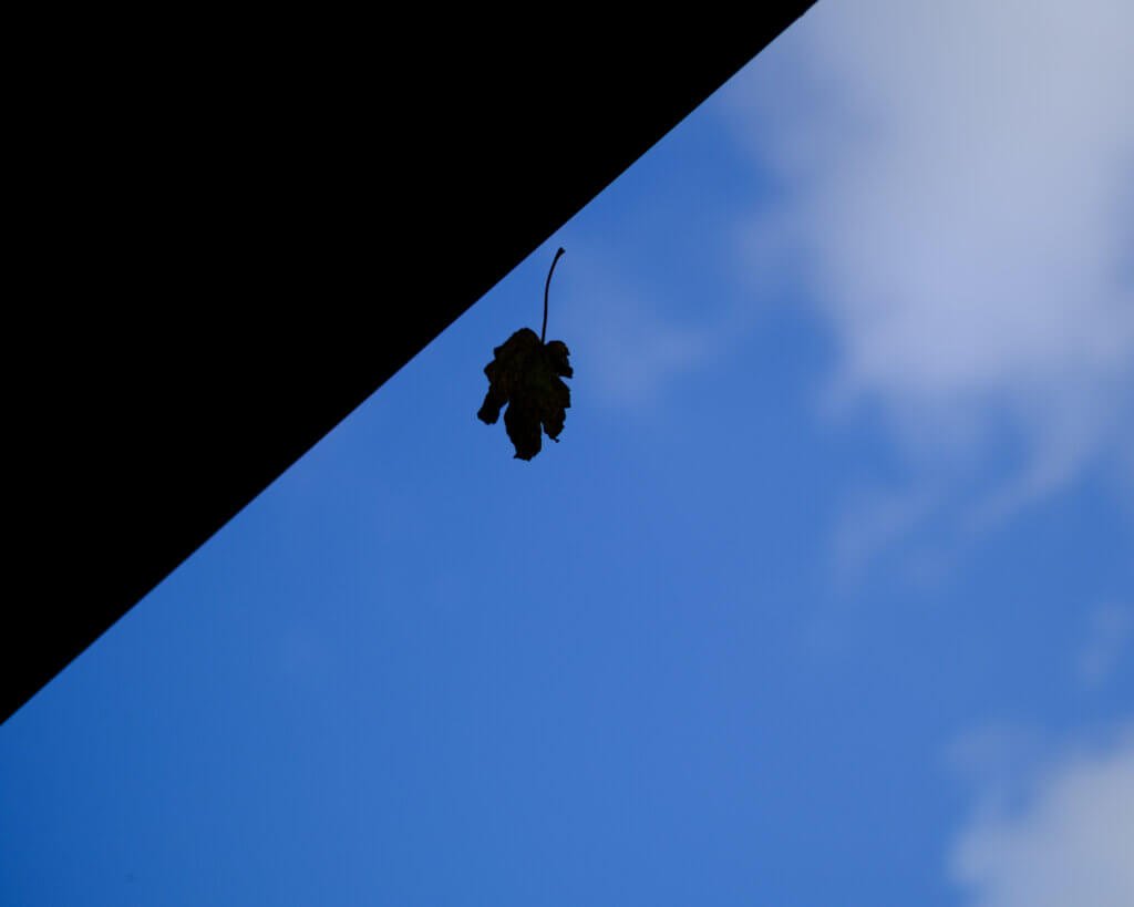 Suspended