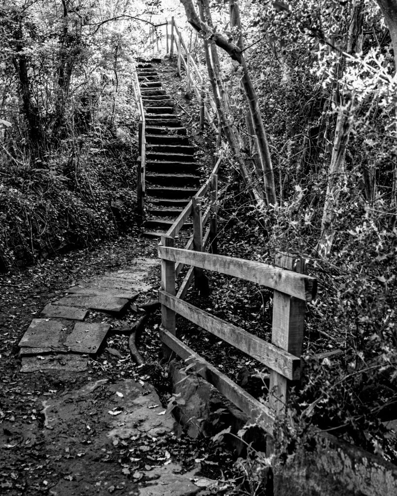 Steps near Mellor’s Gardens