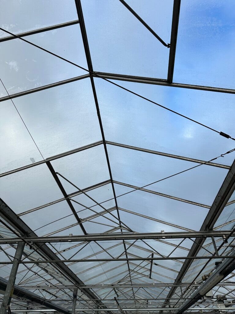 A greenhouse roof.