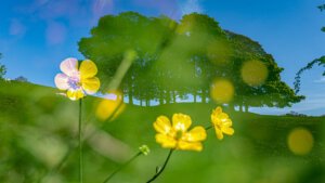 In-camera multiple exposure – Lowerhouse