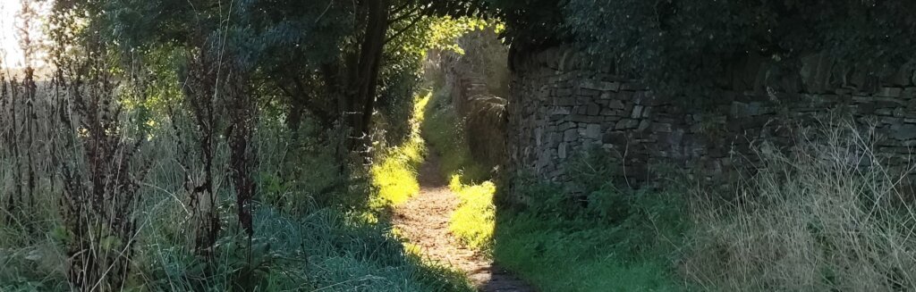 Ginnels & back streets of Bollington