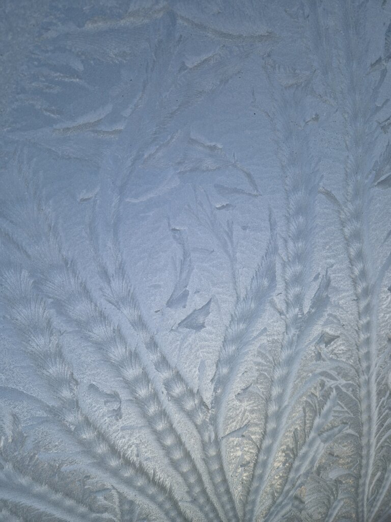 Frosty morning