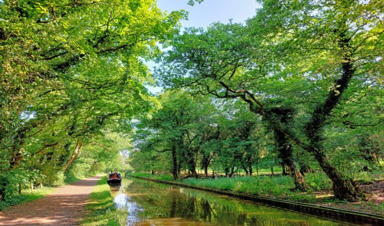 Along-the-Canal.jpg