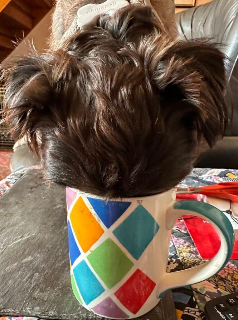 Hey, that is my tea not yours!