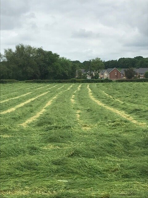 Large lawn mowing at Lowerhouse.