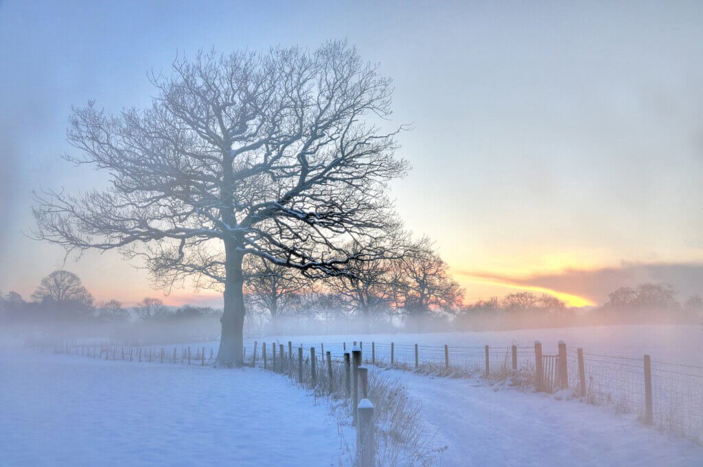 The mist rising at sunset on a very cold winters evening