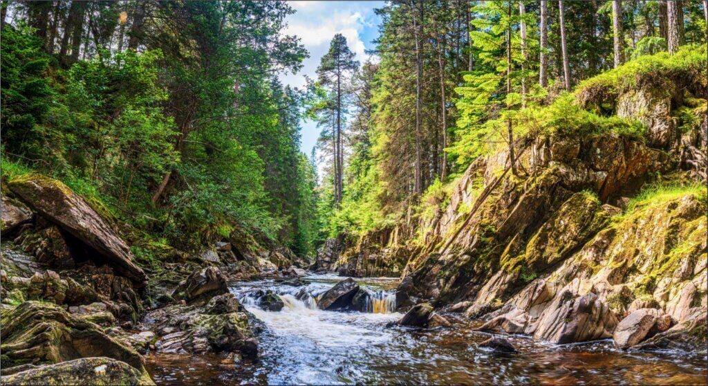 Peaty Water